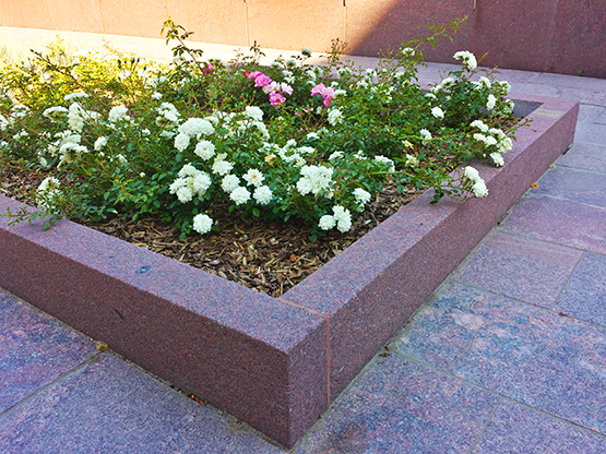 Crushed Stone